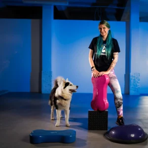 Podstawy Dogfitness: Budowanie Kondycji i Wzmacnianie Więzi z Psem