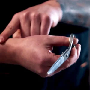 Warsztat Pracy z Nożyczkami: Profesjonalne Modelowanie Sierści