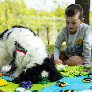 Zajęcia Kynoedukacyjne z Dziećmi: Szacunek i Empatia do Psów