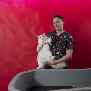 Grooming kotów długowłosych z Patrycją Chowaniec