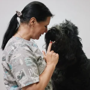 Czarny Terier Rosyjski: Strzyżenie i Modelowanie – Grooming Wzorcowy Wystawowy