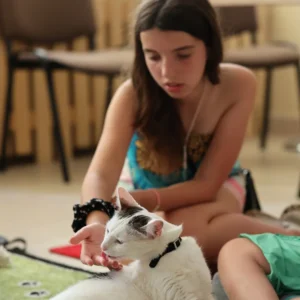 Felinoterapia w praktyce – organizacja zajęć, przykłady ćwiczeń z udziałem kota zestaw 1