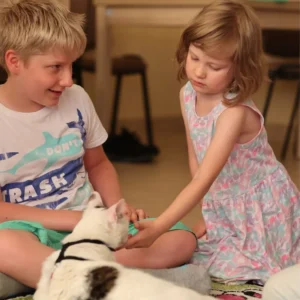 Felinoterapia w Praktyce: Organizacja Zajęć i Ćwiczenia z Kotem – Zestaw 2