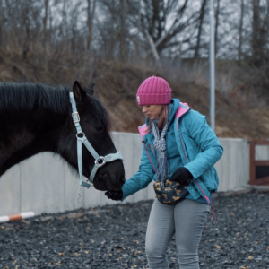 Wzmocnienie Pozytywne: Trening Koni – Nagrody, Targety i Spójność