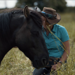 Odwrażliwianie Koni: Budowanie Zaufania i Spokoju