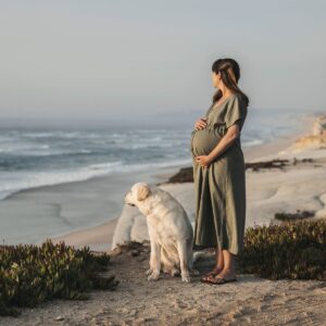 Przygotuj Psa na Dziecko: Harmonia w Nowej Rodzinie