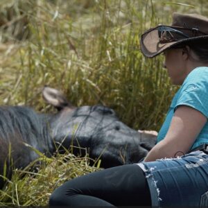 Istota Emocji w Szkoleniu Koni: Harmonia i Efektywność Treningu