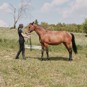 Jak chody boczne gimnastykują konia czyli ujeżdżenie jest dla konia, a nie koń dla ujeżdżenia