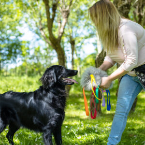 Trening Psa. Sekrety Budowania Silnej Motywacji
