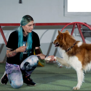 Dogfitness: Rozgrzewka i Rozprężenie – Klucz do Aktywności Psa