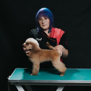 Grooming Pudel Toy: Opanuj Stylizację Terier Clip