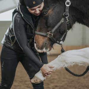 Kinezyterapia Koni: Gimnastyka i Stretching