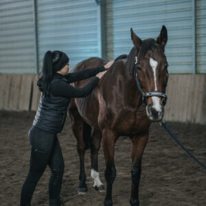 Fizjoterapia Koni: Masaż Klasyczny – Rozluźnienie i Dobre Samopoczucie