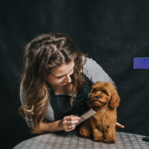 Pielęgnacja Szczeniaka: Wizyta Adaptacyjna u Groomera – Pozytywne Pierwsze Kroki