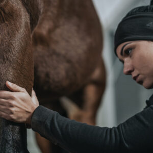 Fizjoterapia Koni: Drenaż Limfatyczny Kończyn – Klucz do Zdrowia