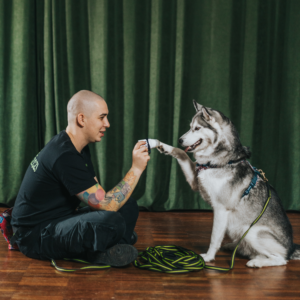 Sekrety Psiego Zachowania: Czego Naprawdę Potrzebuje Twój Pies?